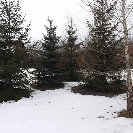 Nagybajcsi Körtefa Nagybajcs