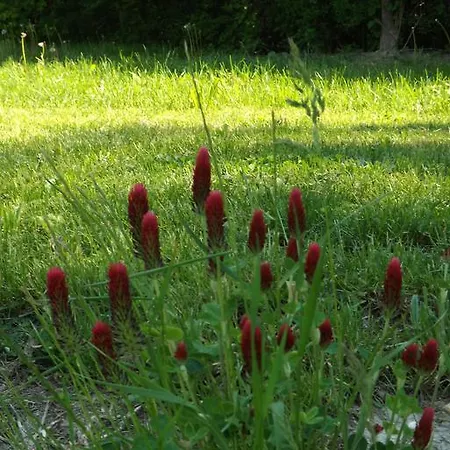 Apartamento Nagybajcsi Körtefa